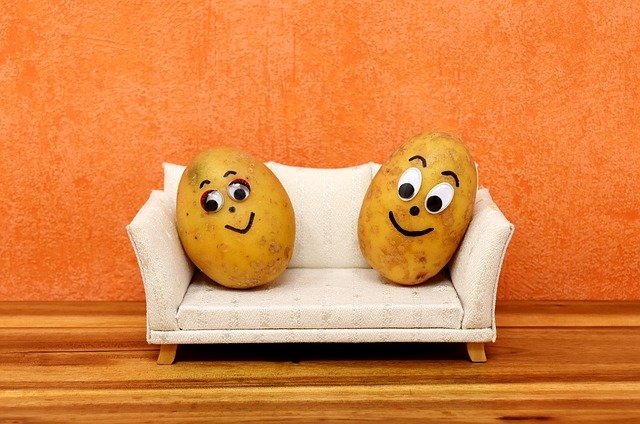 learn idioms in English couch potato