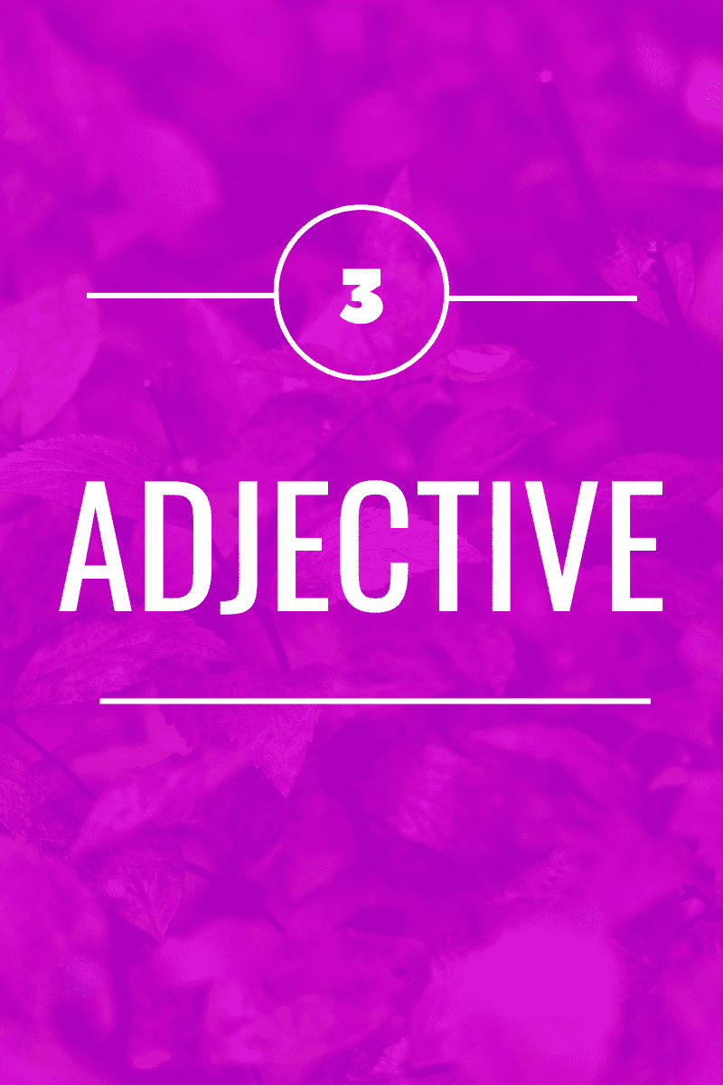 Adjectives