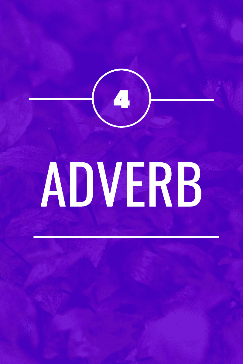 Adverb