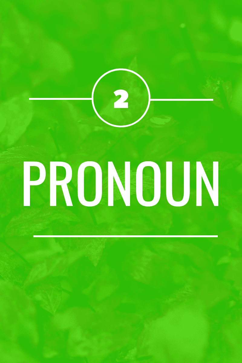 Pronoun